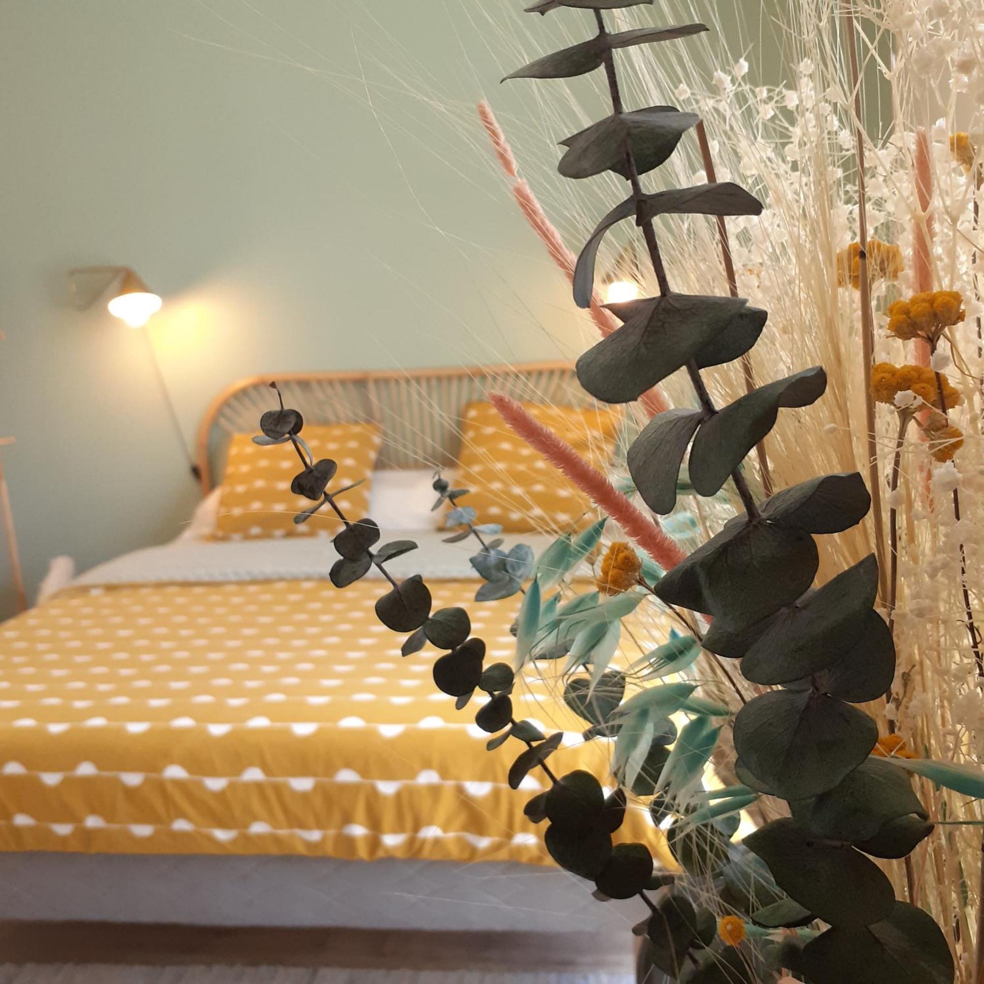 Vagabondes Chambres D'Hotes Azay-le-Rideau Pokoj fotografie